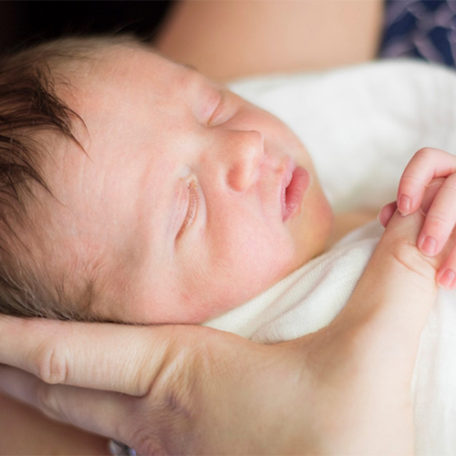 Newborn Photographer